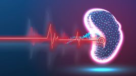 Policistični bubrezi: Uzroci, simptomi i lečenje