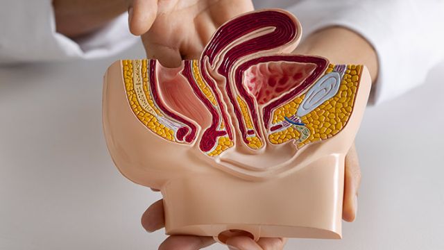 Urologija
