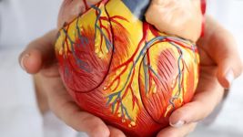 Disekcija aorte: Uzroci, simptomi i lečenje