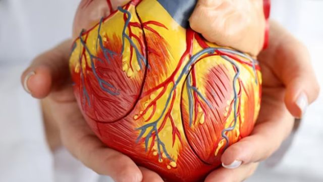 Disekcija aorte: Uzroci, simptomi i lečenje Disekcija aorte: Uzroci, simptomi i lečenje